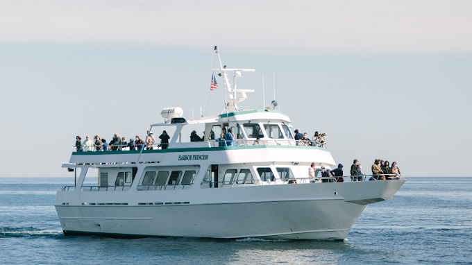Cap'n Fish Cruises - Cruise Ship