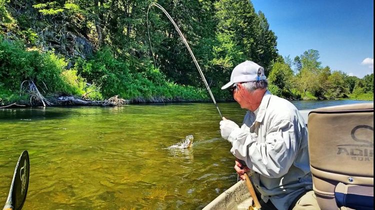 Fly Fishing in Montana: TOMIS SEO Case Study