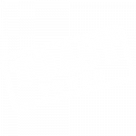 https://toasttours.com/